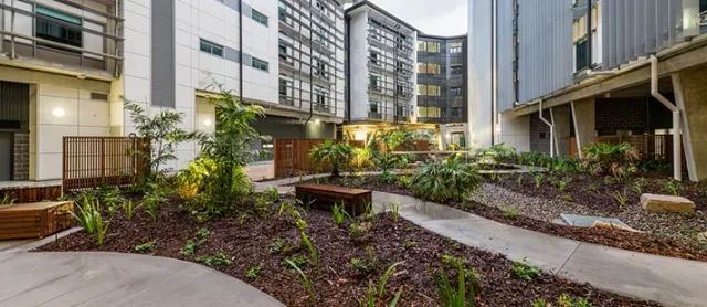 External Photo of Dovetree